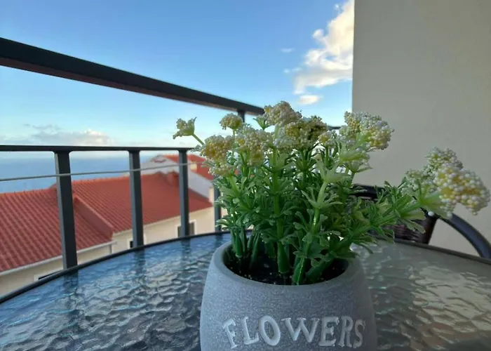 A&csuite * קאניקו